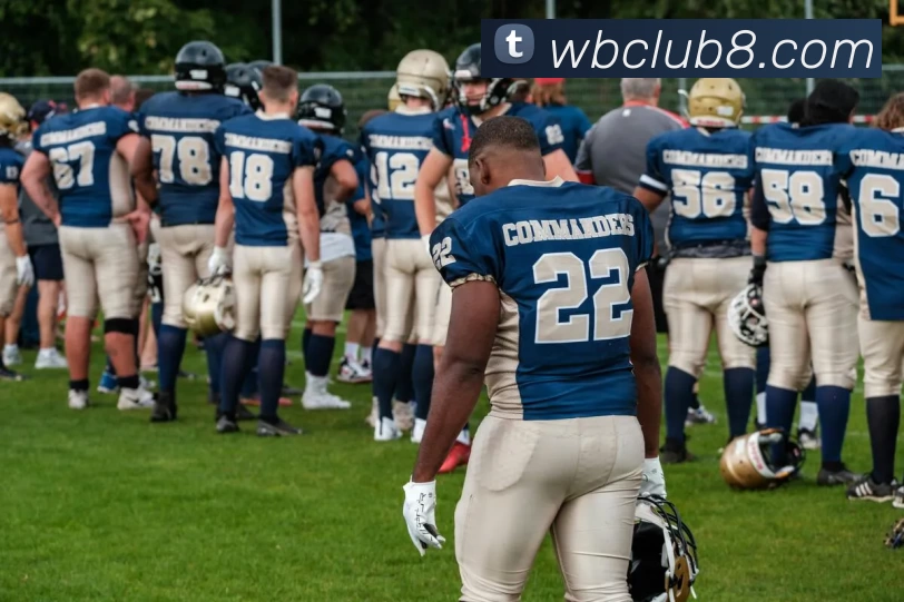 威博娱乐城官网平台生态图